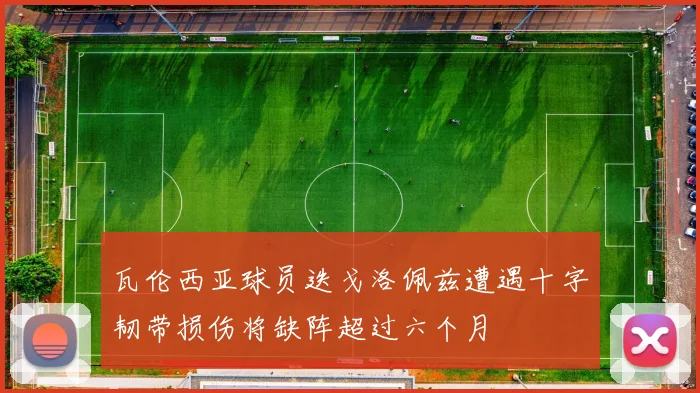 瓦伦西亚球员迭戈洛佩兹遭遇十字韧带损伤将缺阵超过六个月