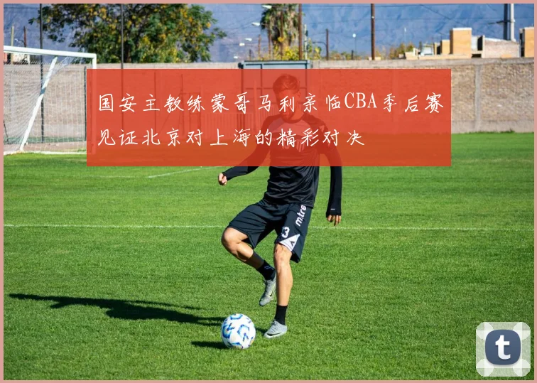 国安主教练蒙哥马利亲临CBA季后赛见证北京对上海的精彩对决