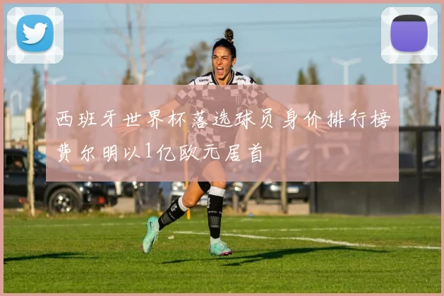 西班牙世界杯落选球员身价排行榜费尔明以1亿欧元居首